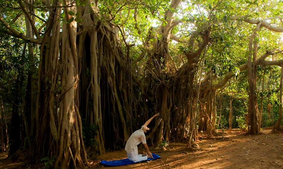 SwaSwara Ayurveda and Yoga, Om Beach, Gokarna-Mind blowing resort on Om Beach