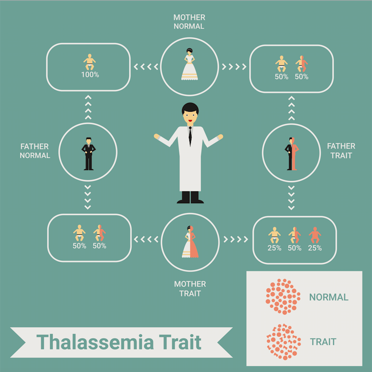 chart explaining the thalassemia trait